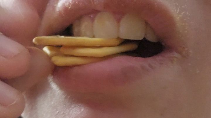 Chewing session