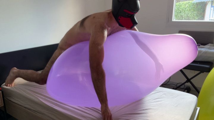 POPPING NSFW - Mass popping China 36" balloons