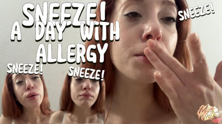 Sneeze! A Day With Allergy