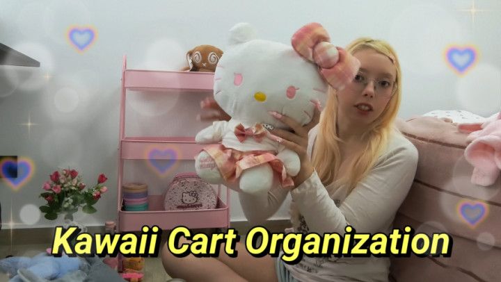 Kawaii Cart Organization. My Cute Essentials