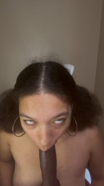 Student Manaia Worshipping 10 inch BBC