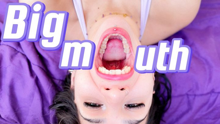 Mouthplay Obsession 9CM Stretch, Hooks & Play