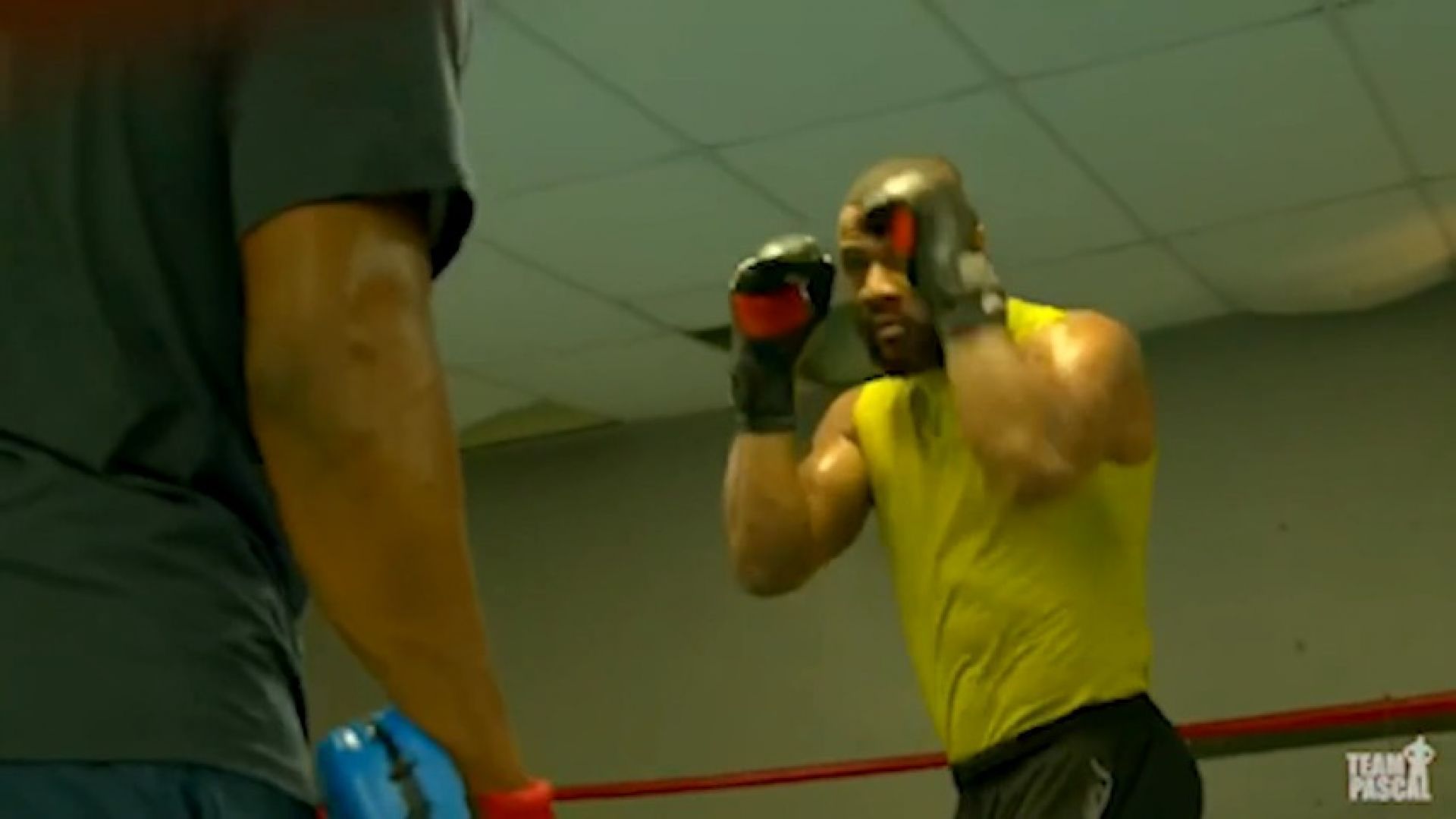 Living the Fighter's Life: All In, Every Day