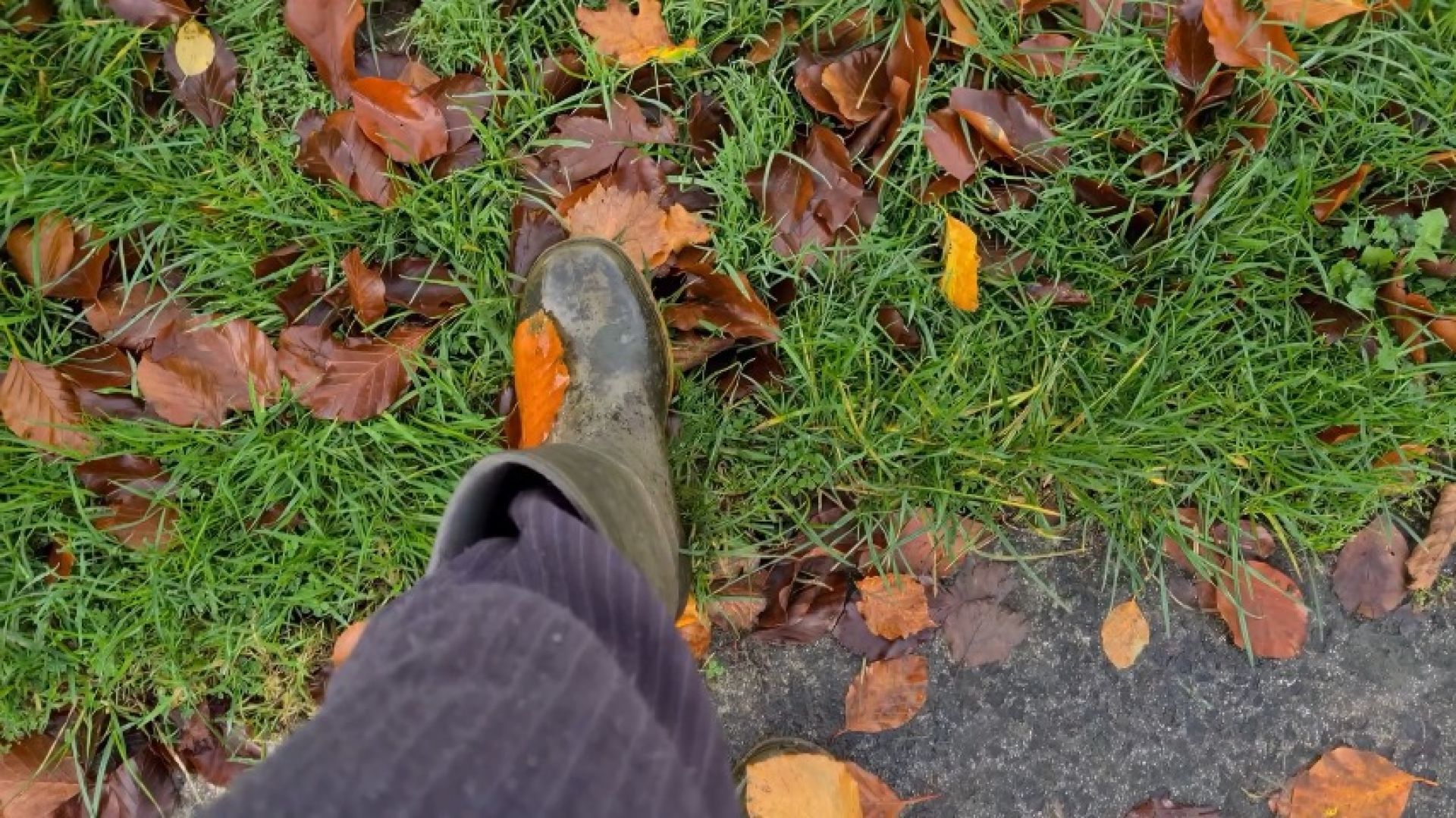 Walking Through Autumn Leaves