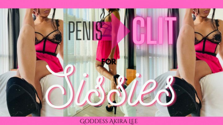 Penis to Clit Reprogramming Audio