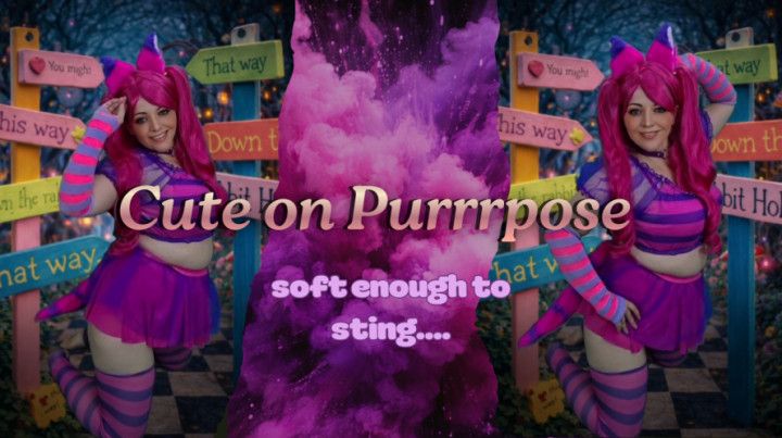 Cute on Purrrrpose