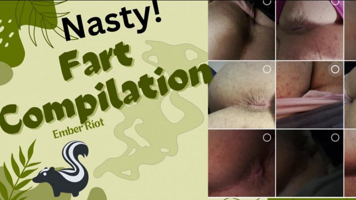 Fart Princess 2024: Crowned in Stink