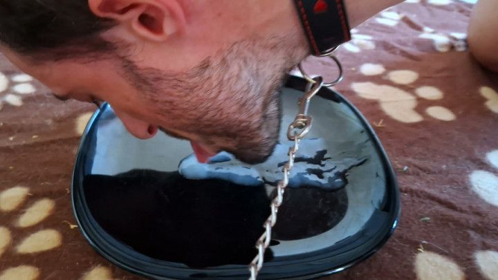 Mistress makes her slave boy lick up his cum from a plate
