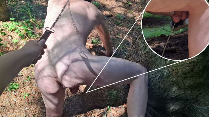 A boy on all fours pees near a tree