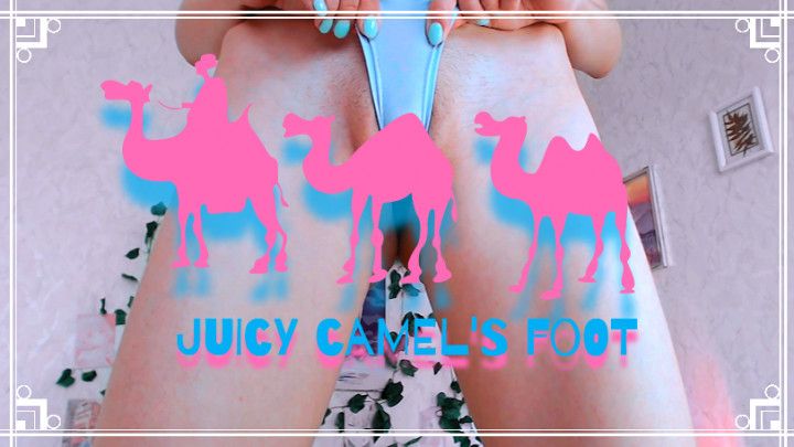 Juicy camel's foot , camel`s toe