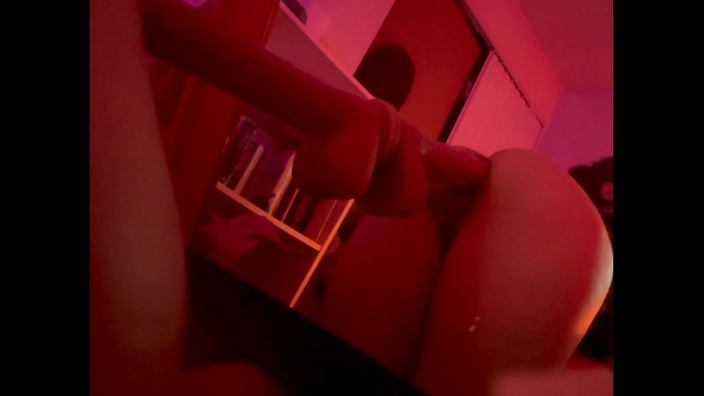 doggy from the mirror's perspective