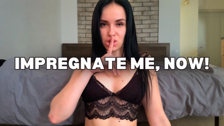 Sexy Home Wrecker Makes You Impregnate Her Virtual Sex POV