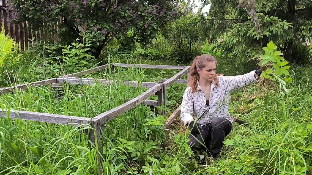 8 Min of Simply Country Life