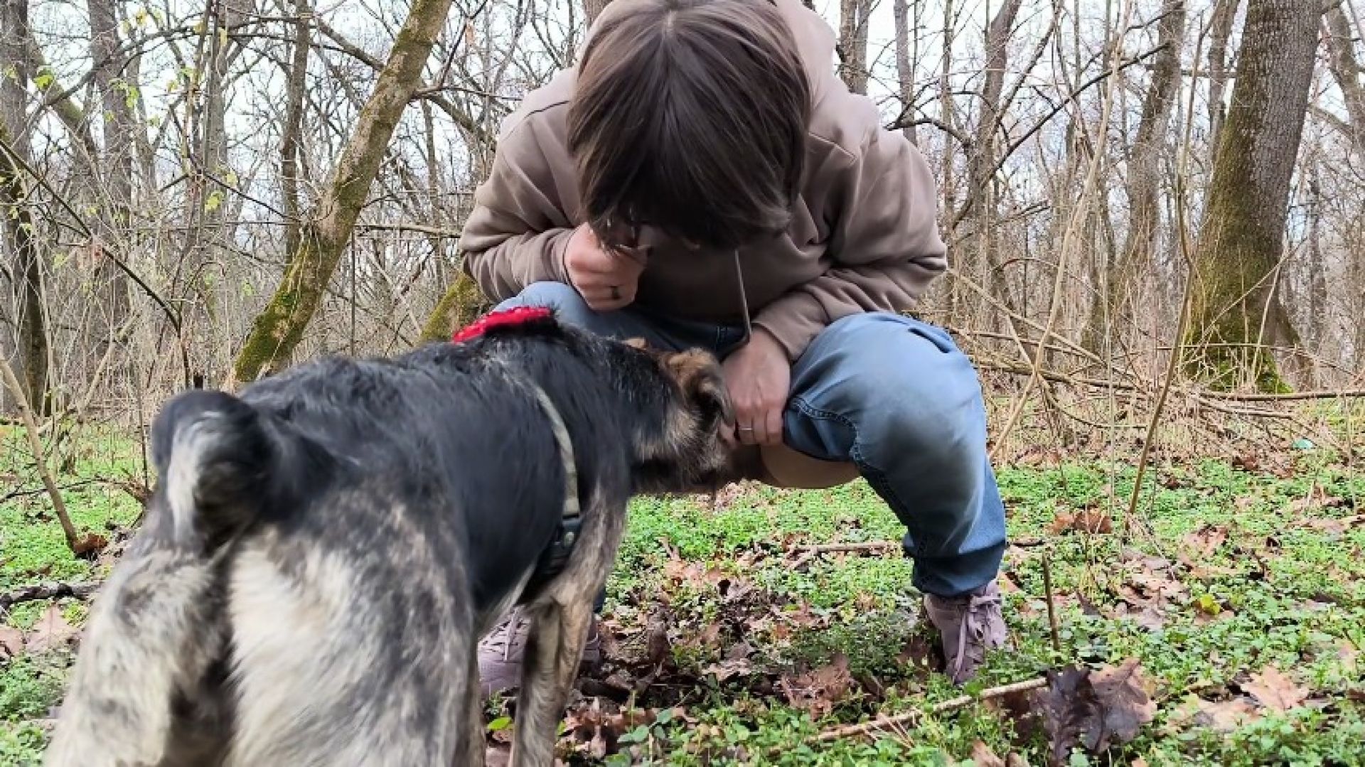 Peeing deep in the forest