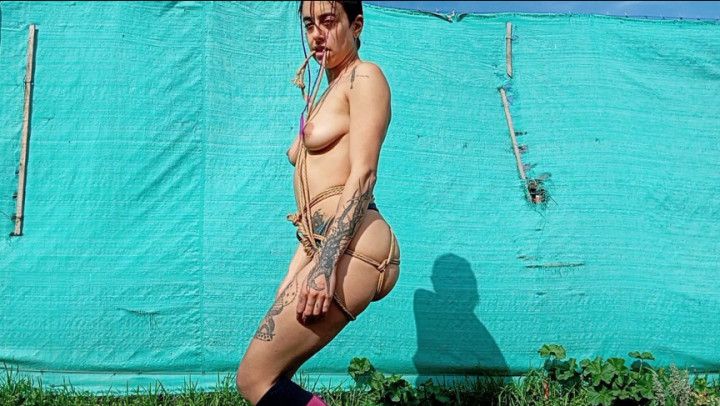 first harness for my butt