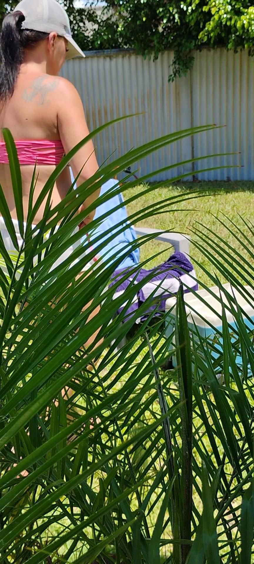 Gígi lays out in the sun