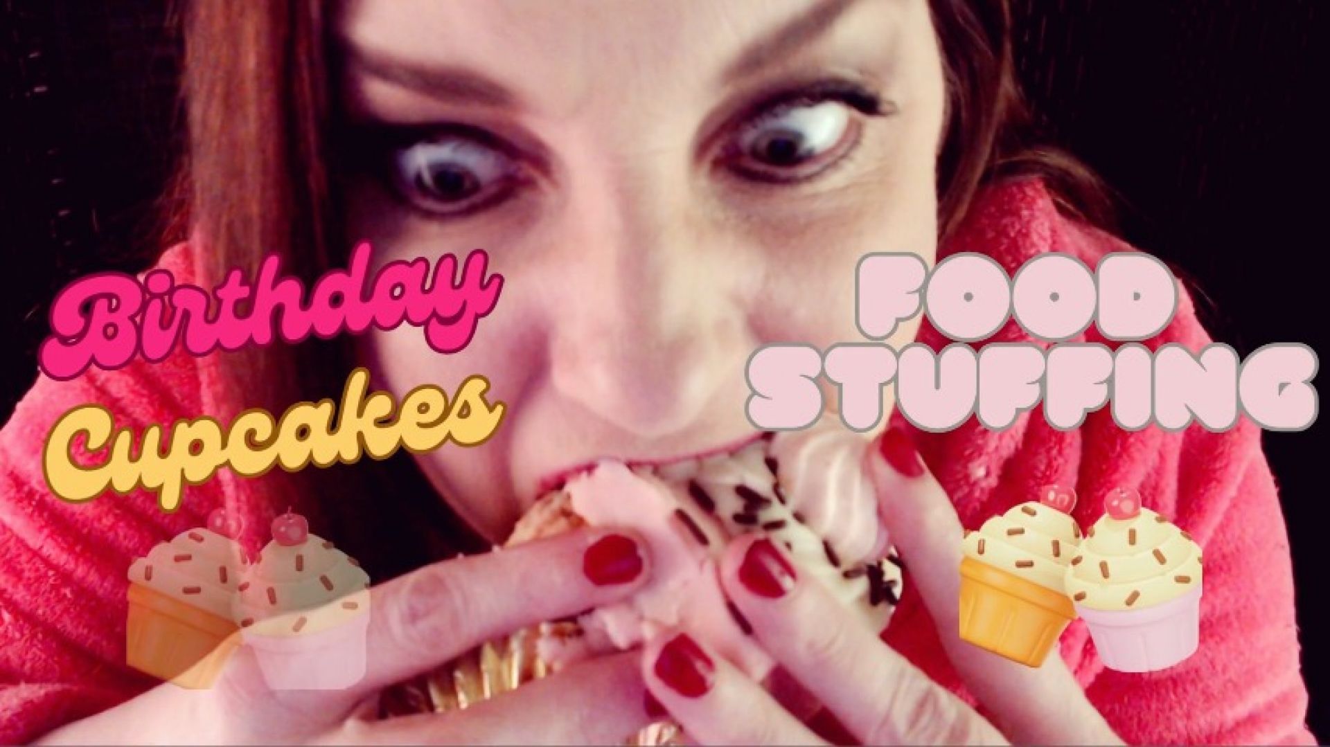 Birthday Cupcakes Food Stuffing