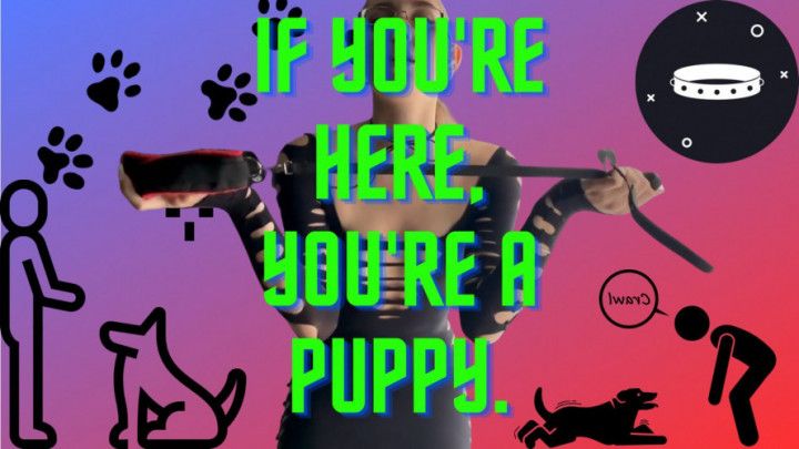 Ideas for custom video BDSM