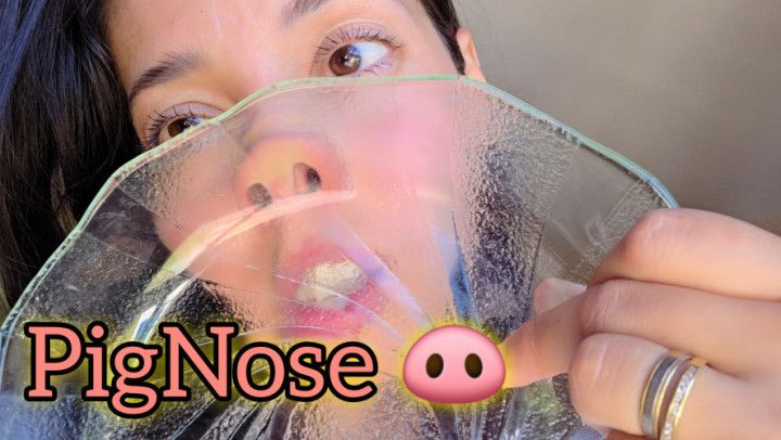 PigNose in glass