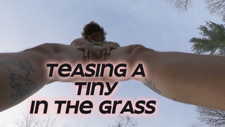 Teasing A Tiny In The Grass