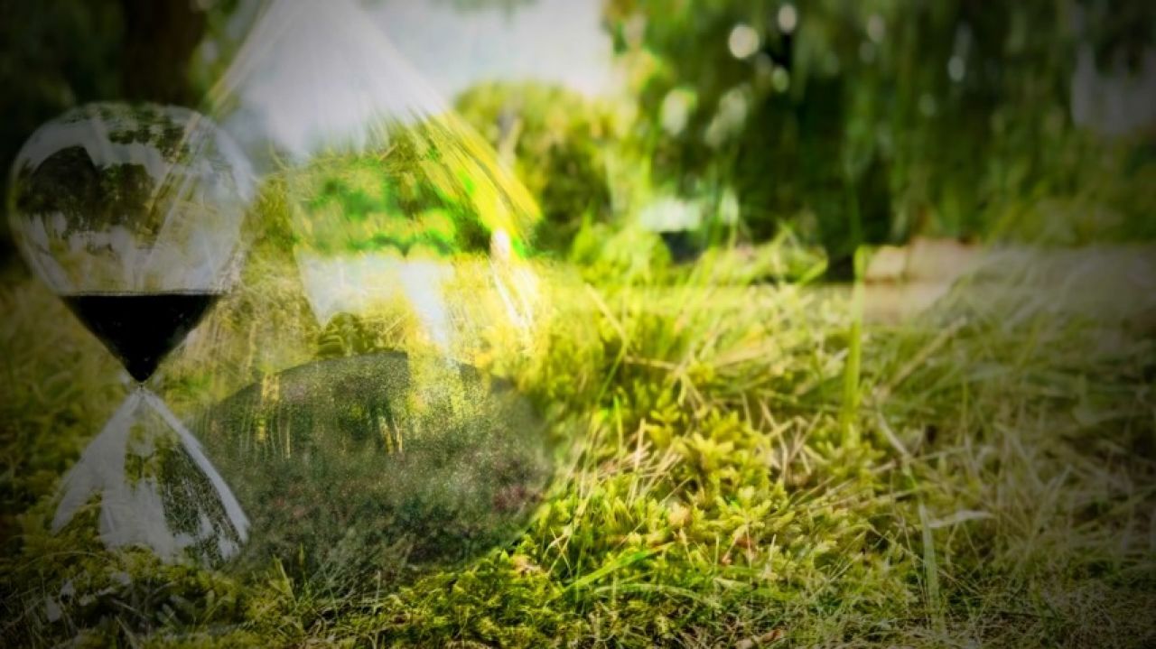 Hourglass Nature Immersion