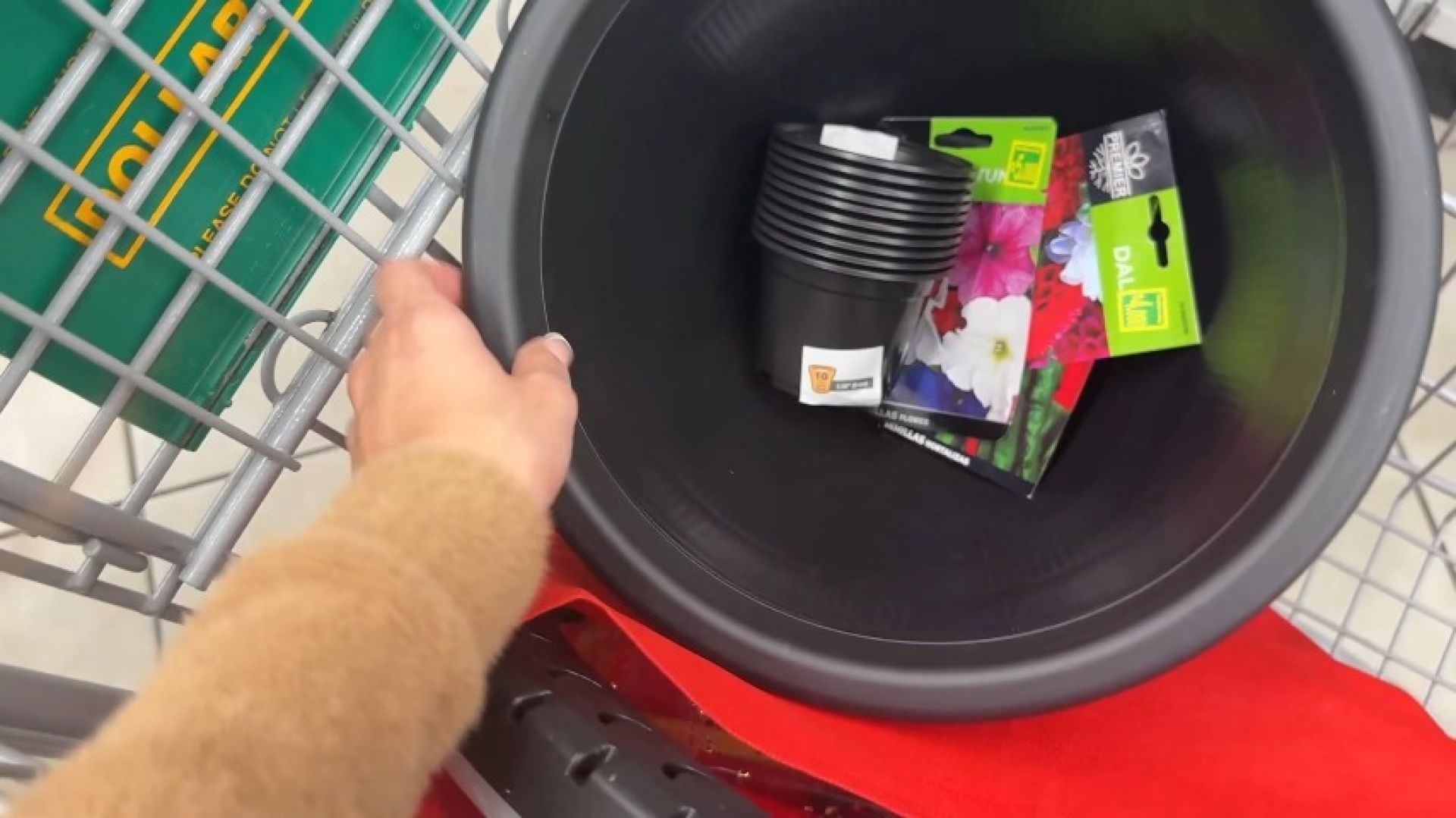 Shopping for Plant Pots at Dollarcity