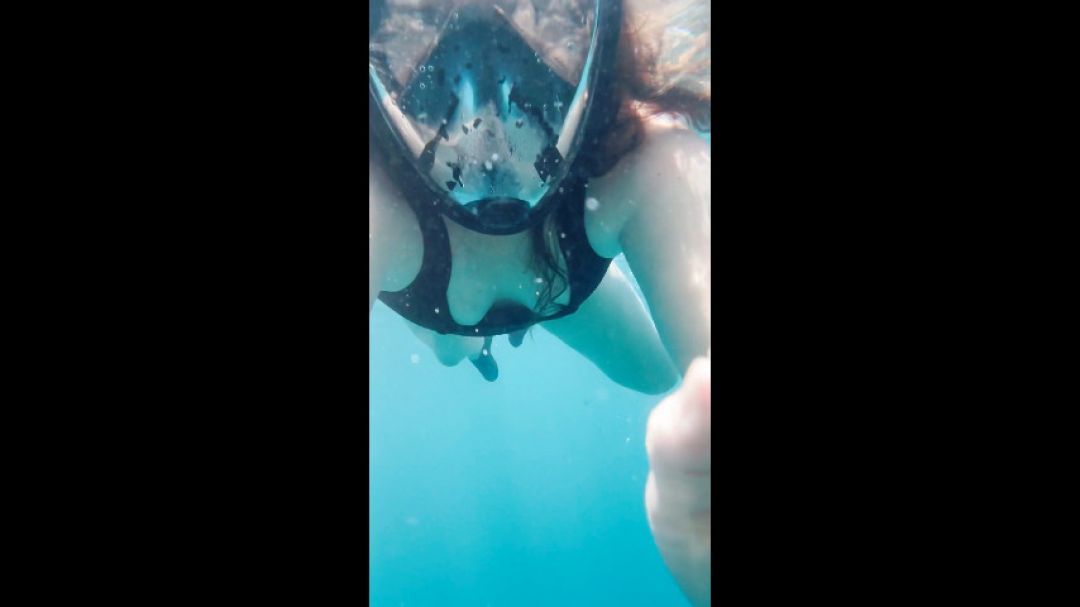 Snorkeling with Turtles and Colorful Fish