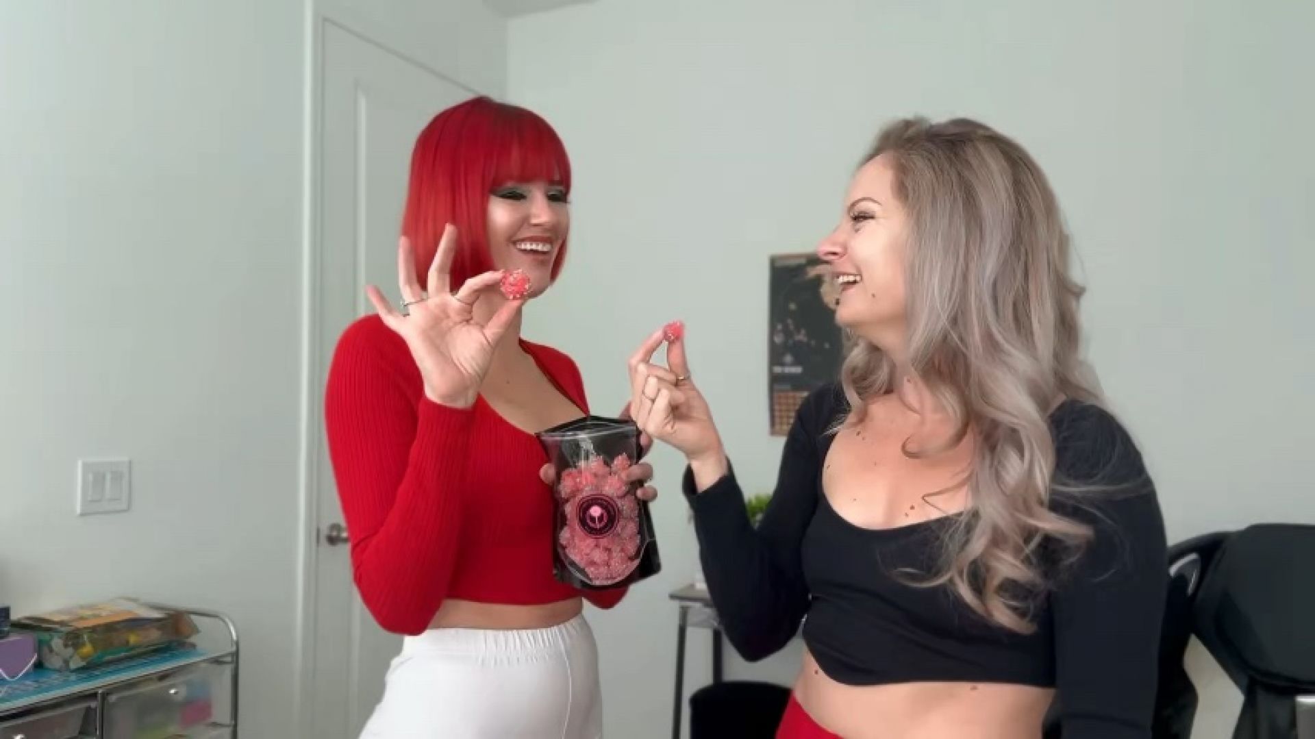 Freeze Dried Candy Frenzy