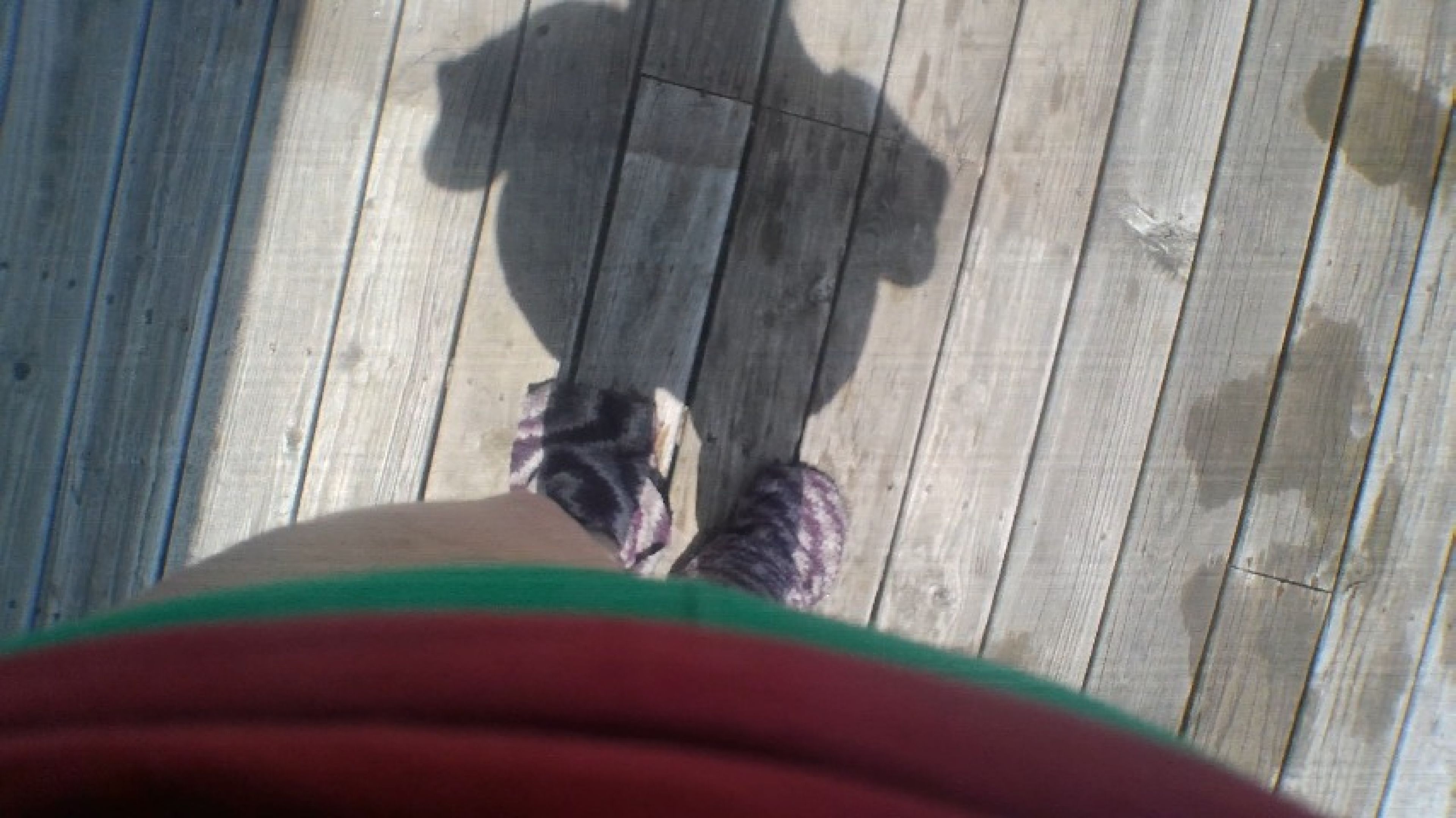 7-25-25 Walk and splat 2