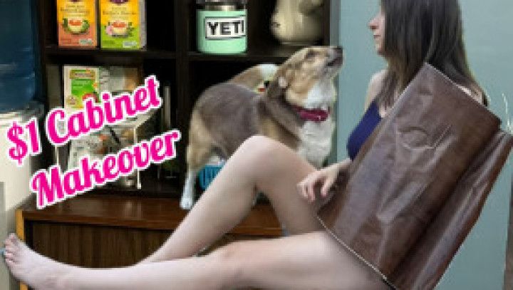 DIY Cabinet Refinishing For $1