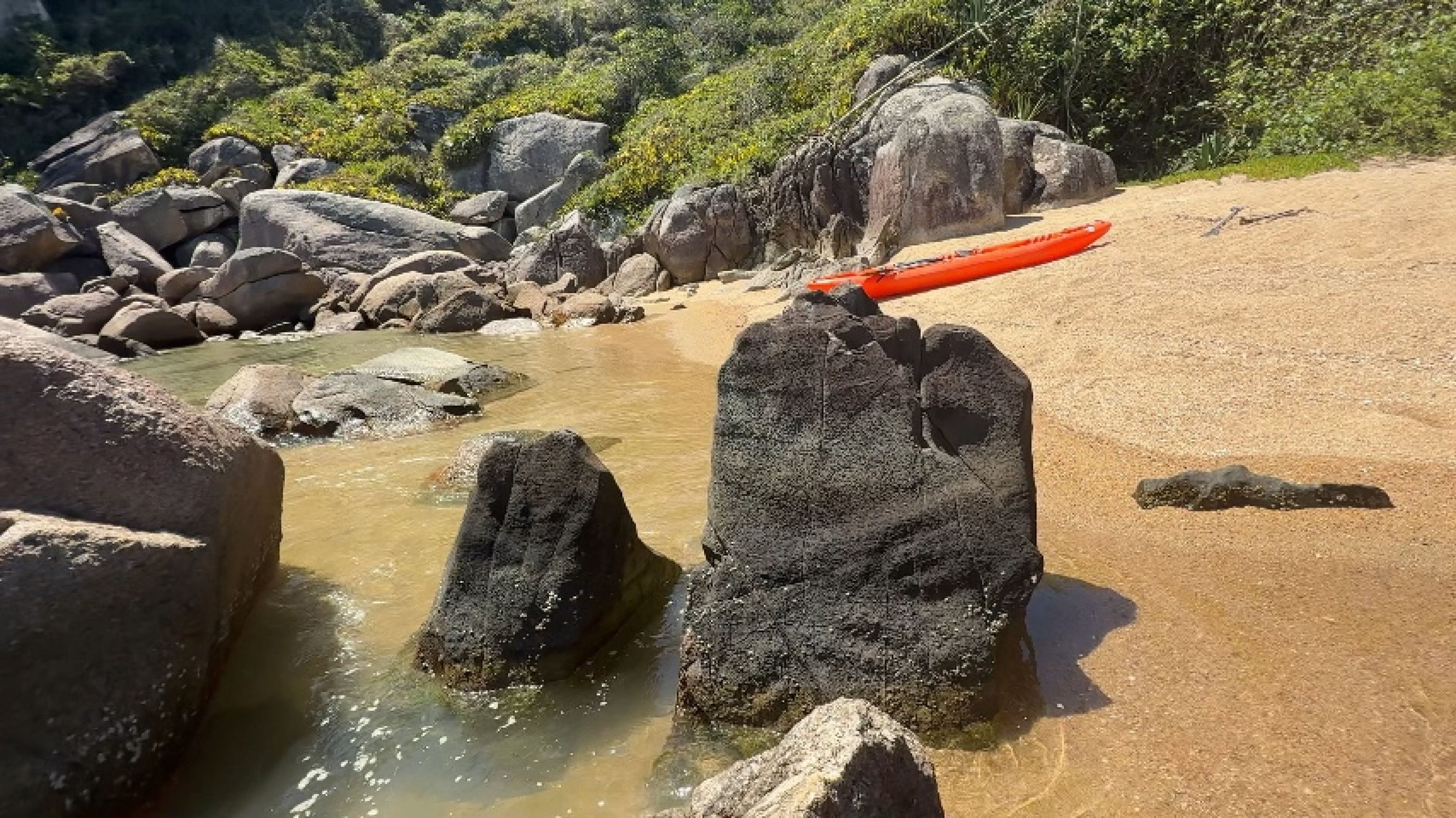 Brazilian trans taking a shower