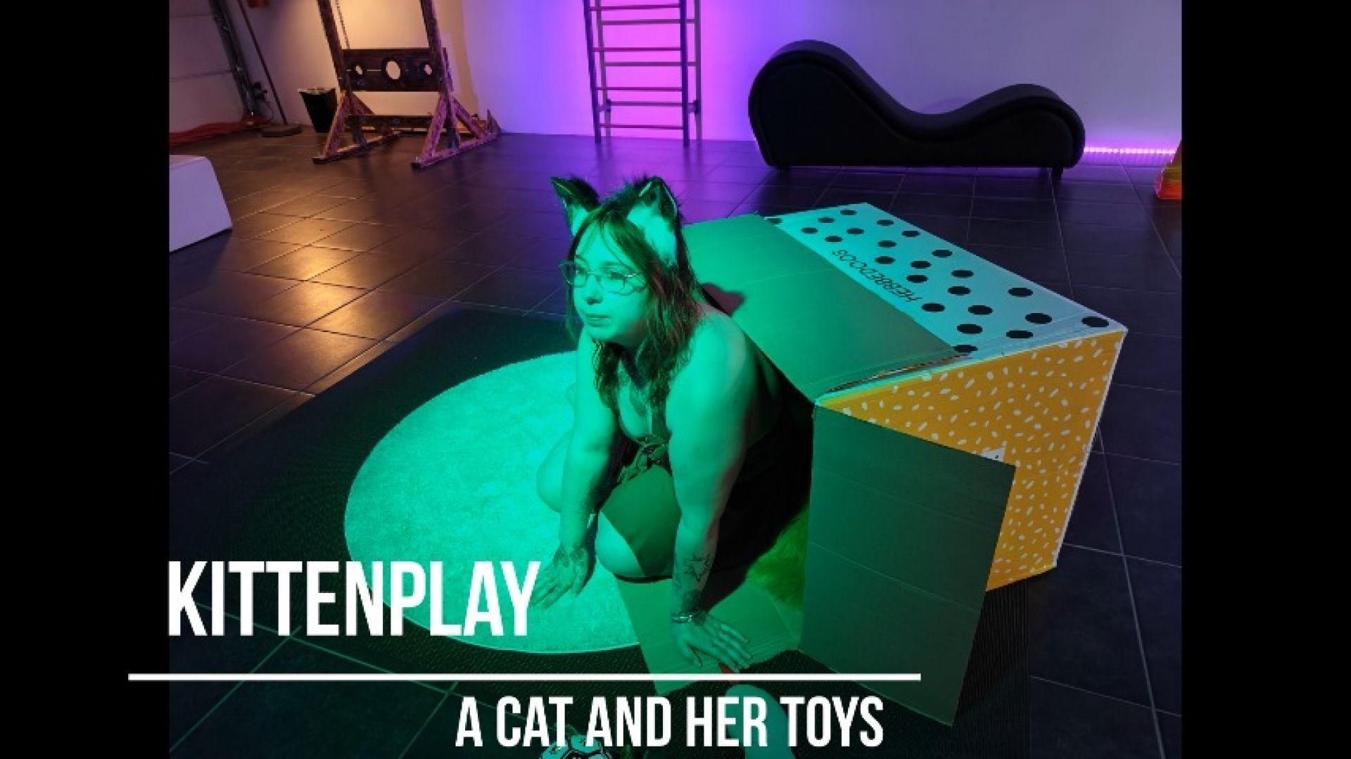 Kittenplay