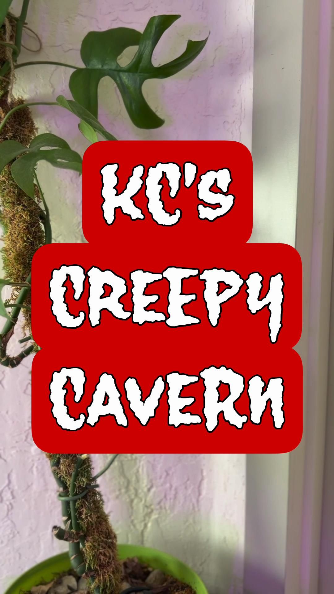 KCs Creepy Cavern
