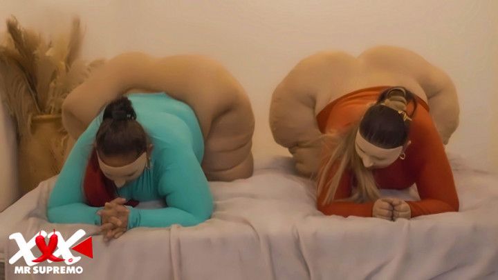 TWO MEGA COLOSAL ASSES IN ACTION