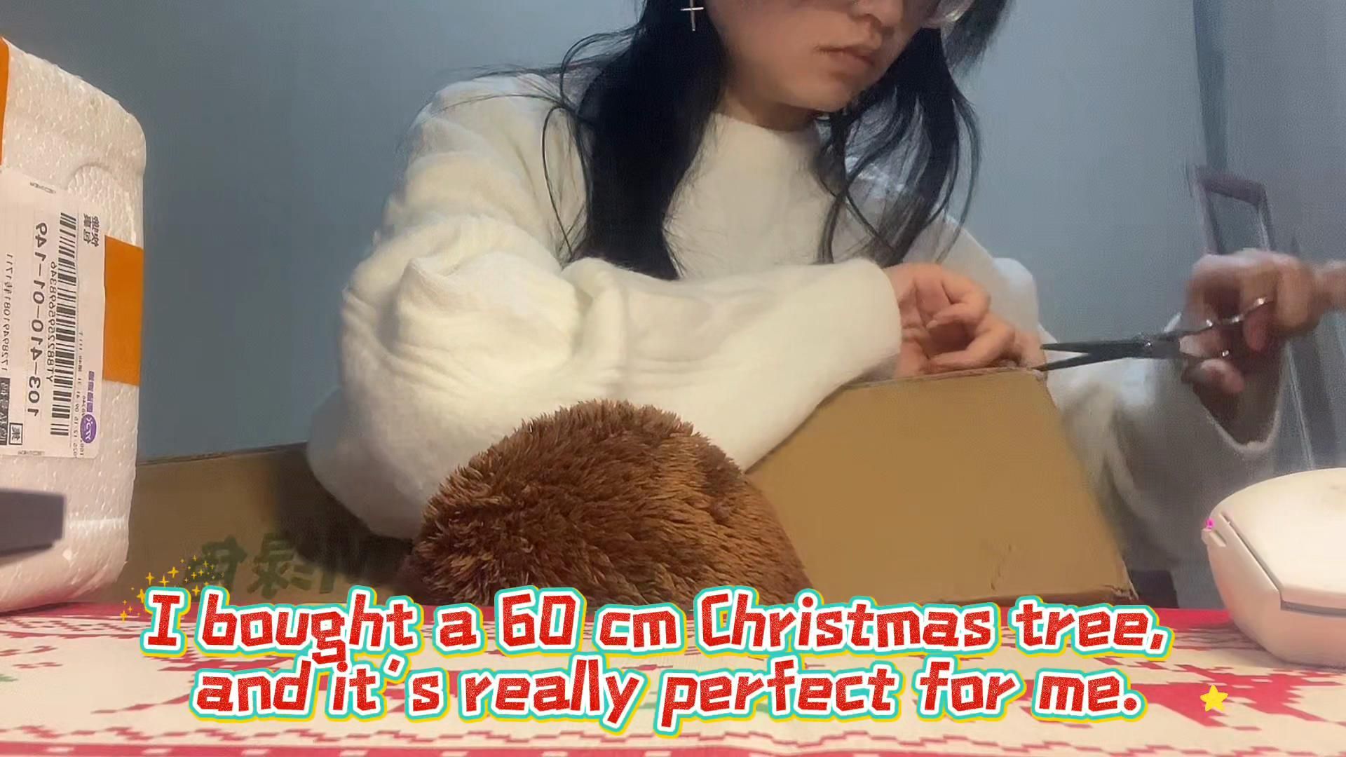 Assemble the Christmas tree and opening the package