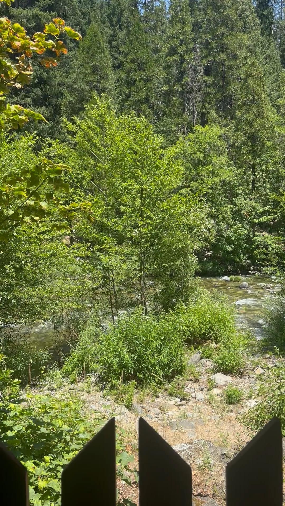 SFW A moment of calm