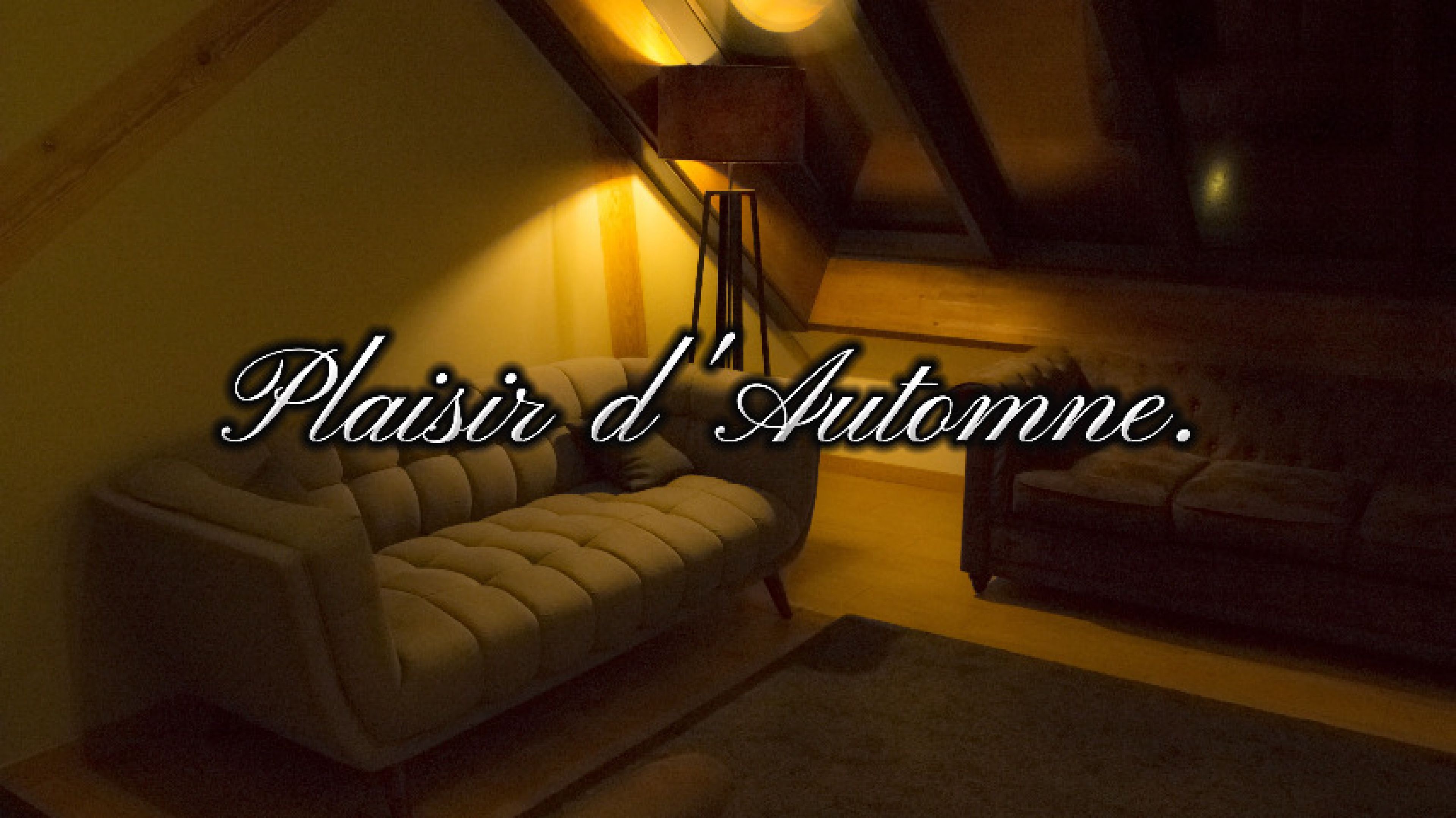 MrXterview-FeuDeBengale-Plaisirdautomne-FullVideo