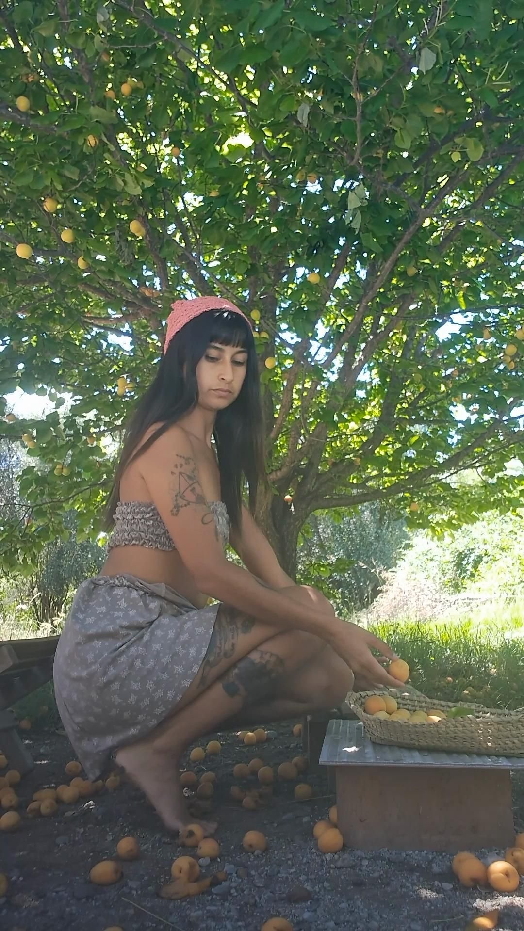 Harvesting apricots, I love nature