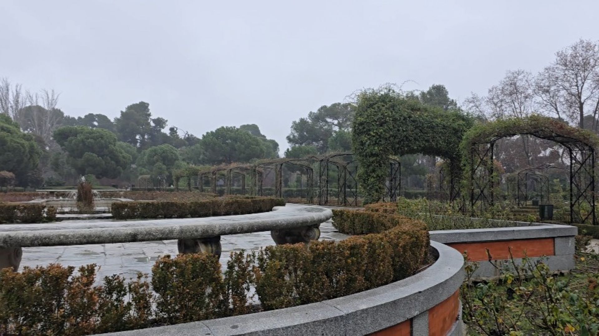 RAINY WINTER PARK WALKING