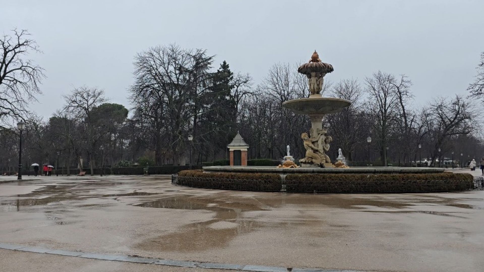 RAINY DAY IN SPAIN, WINTER PARK WALKING