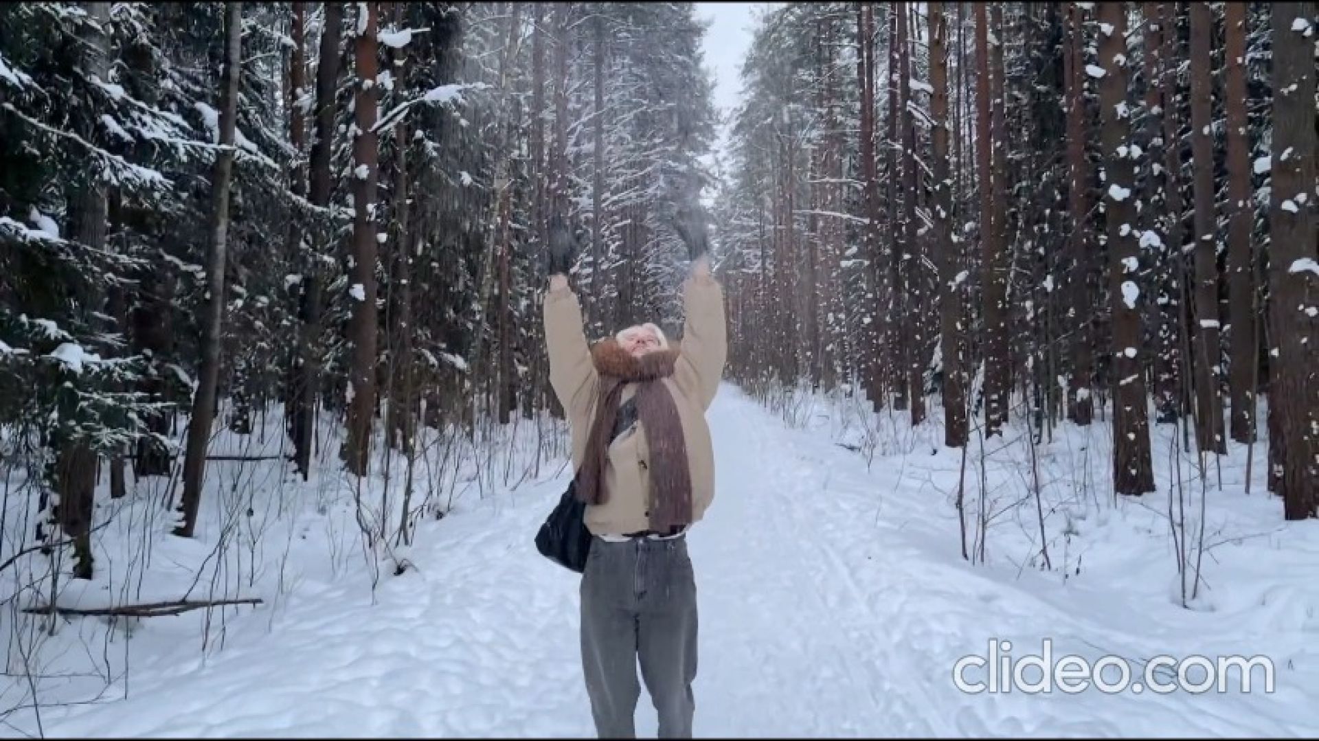 Walking in the Forest