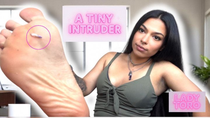 A Tiny Intruder - VORE