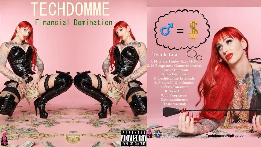 Techdomme Financial Domination Album