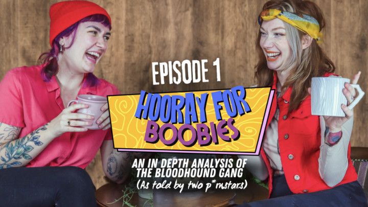 Episode 1 - Hooray for Boobies Podcast