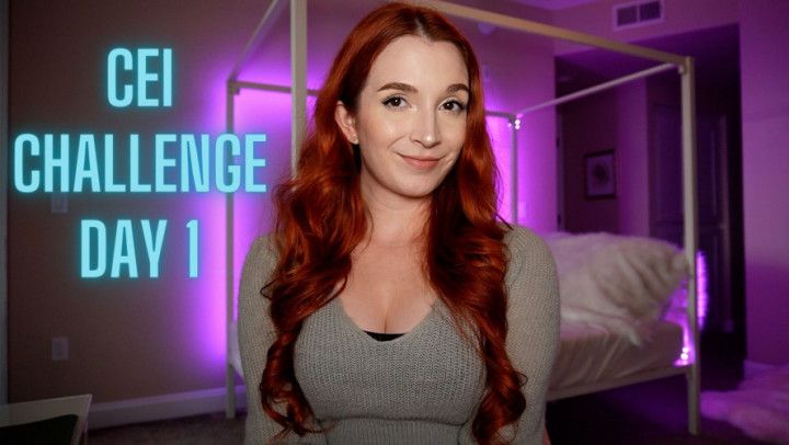 CEI Challenge Day 1