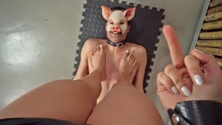 TRAMPLING PIG - SUBBY TRAMPLE TRAINING