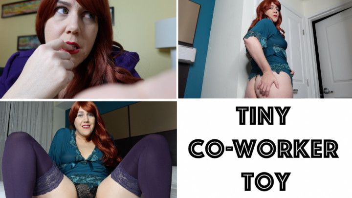 Tiny Co-Worker Toy