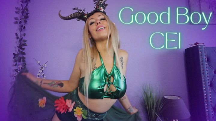 Good Boy CEI