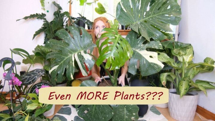 Plants I Got In Jan / Feb