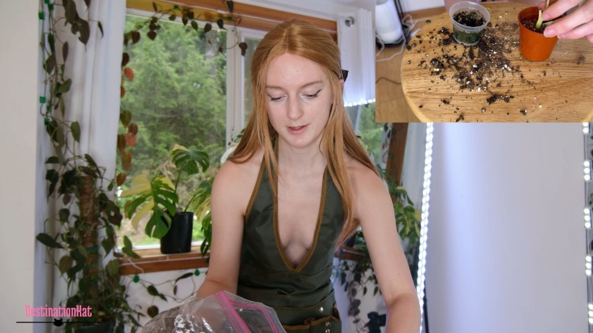 Gardening With Kat- Repotting Monsteras SFW